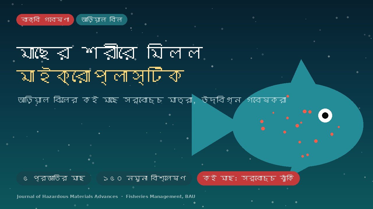 বিলের মাছে মিলল মাইক্রোপ্লাস্টিক, মানবদেহে প্রবেশের শঙ্কায় গবেষকরা